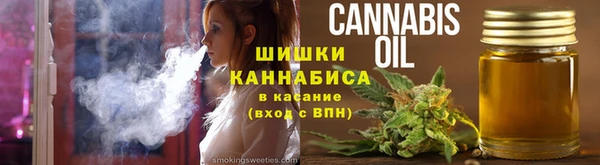 PSILOCYBIN Верхний Тагил