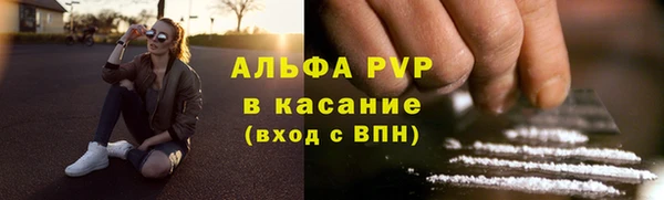 PSILOCYBIN Верхний Тагил