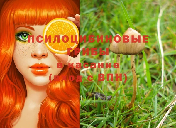 PSILOCYBIN Верхний Тагил