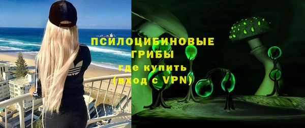 PSILOCYBIN Верхний Тагил
